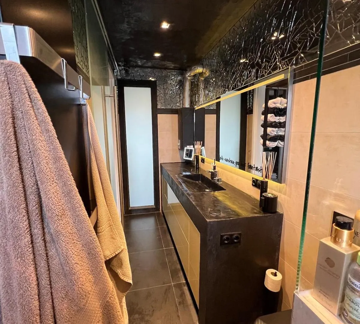 Luxury Loft With Rooftop & Jacuzzi In City Center Dusseldorf 0*,  Germany